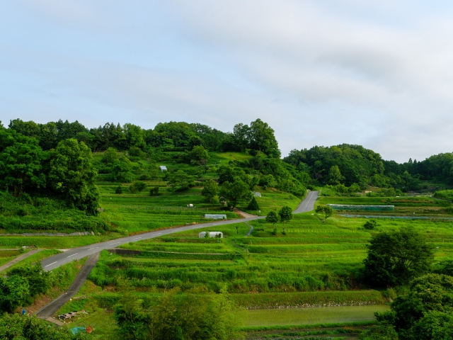 田園地帯の風景